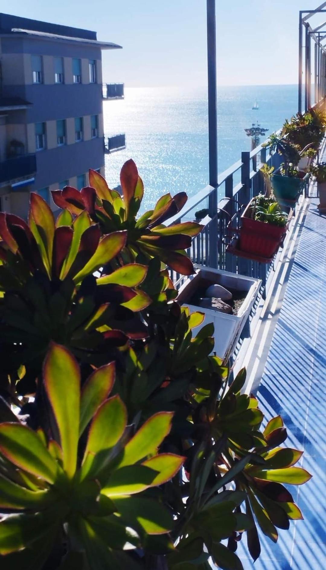 Alta Quota Relax On The Sea Bed & Breakfast Salerno Exterior photo